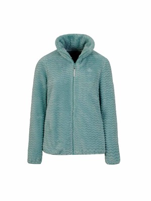 BJØRNSON Tindra Zigzag Fleece Vest Dames 4 seizoenen - Zacht - Zeegroen