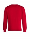 Pullover V-Hals Heren Rood