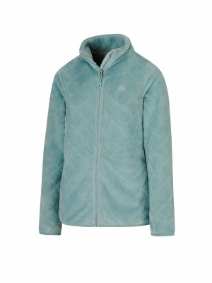 Bjornson Fleece Vest 4 Seizoenen Dames groen - Flora