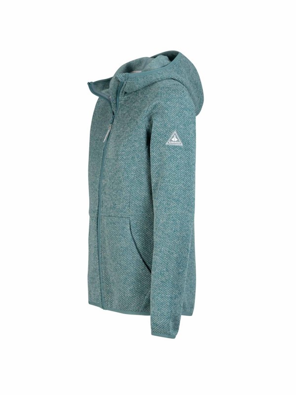 BJØRNSON Gebreid Hooded Vest 4 seizoenen Dames Groen Melange - MAREN